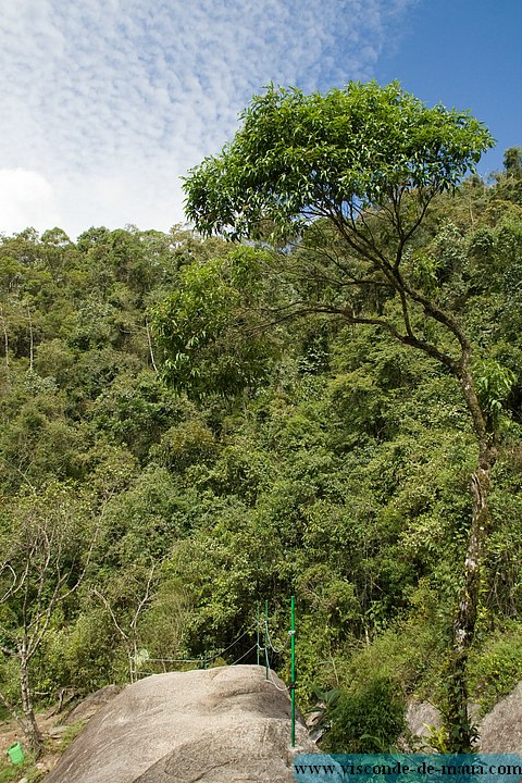 Cachoeira_Alcantilado_Vale_Flores4456.jpg (145 KB)