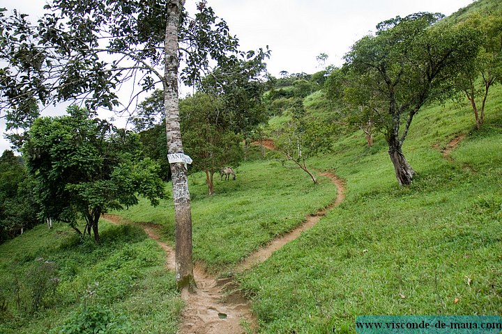 cachoeira_araca-3845.jpg Cachoeira Araçá