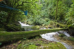 Cachoeira_Saudade-4835.jpg Cachoeiras da Saudade