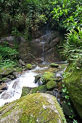 Cachoeira_Saudade-4842.jpg Cachoeiras da Saudade