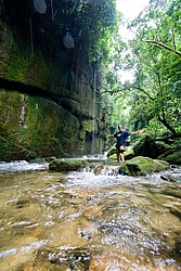 Cachoeira_Saudade-4850.jpg Cachoeiras da Saudade