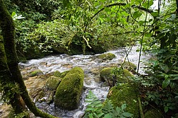 Cachoeira_Saudade-4855.jpg Cachoeiras da Saudade