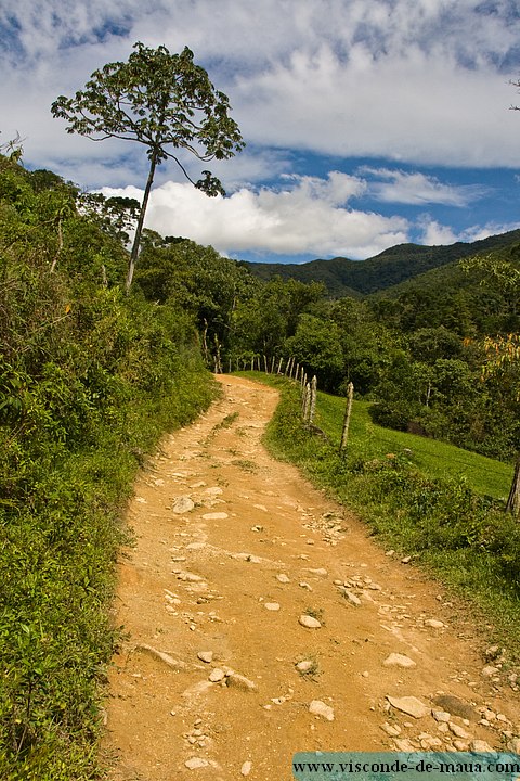 Cachoeira_Saudade-4534.jpg Cachoeiras da Saudade