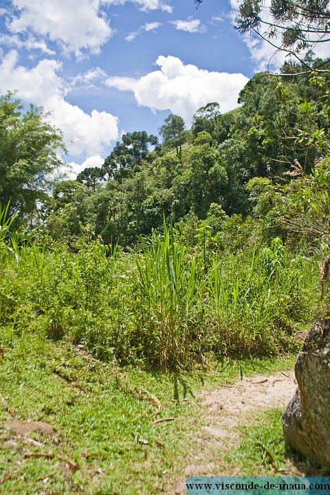 Cachoeira_Saudade-4653.jpg Cachoeiras da Saudade