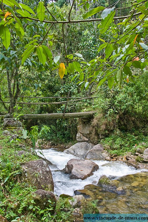 Cachoeira_Saudade-4664.jpg Cachoeiras da Saudade