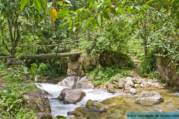 Cachoeira_Saudade-4670.jpg Cachoeiras da Saudade