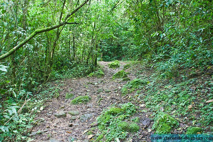 Cachoeira_Saudade-4686.jpg Cachoeiras da Saudade