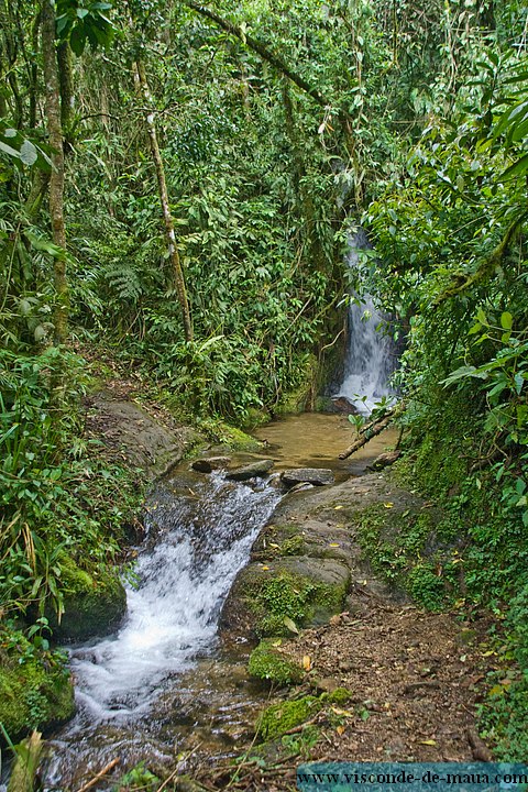 Cachoeira_Saudade-4690.jpg Cachoeiras da Saudade