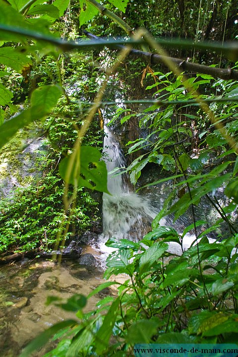 Cachoeira_Saudade-4704.jpg Cachoeiras da Saudade