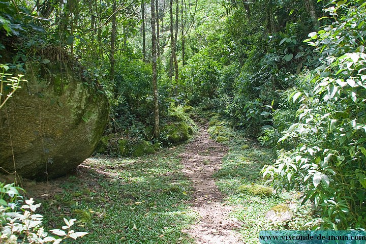 Cachoeira_Saudade-4761.jpg Cachoeiras da Saudade