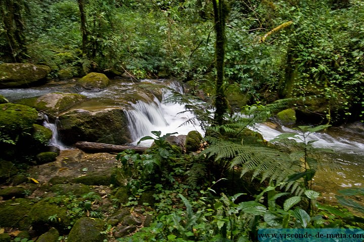 Cachoeira_Saudade-4814.jpg Cachoeiras da Saudade