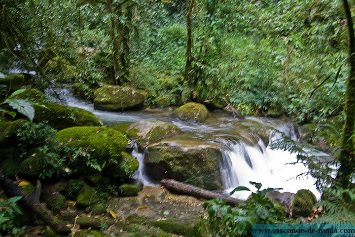 Cachoeira_Saudade-4818.jpg Cachoeiras da Saudade