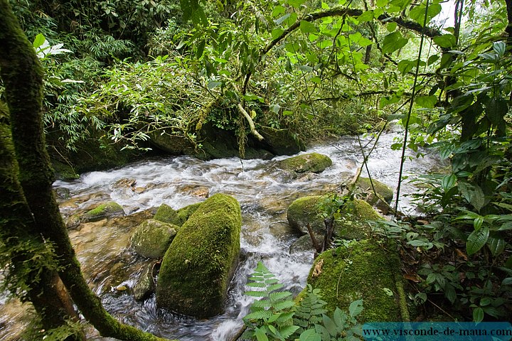 Cachoeira_Saudade-4855.jpg Cachoeiras da Saudade