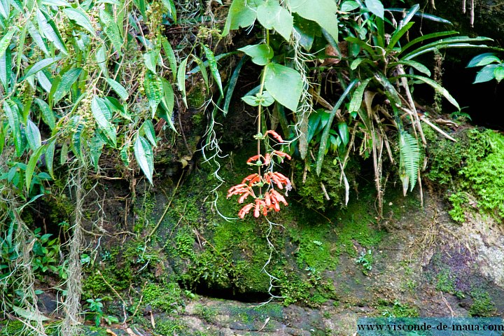 cachoeira_toca_da_raposa5207.jpg (157 KB)