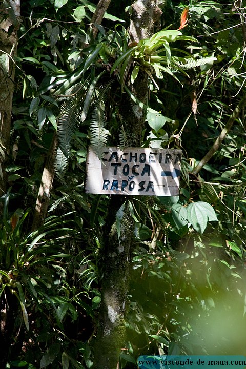 cachoeira_toca_da_raposa5209.jpg (124 KB)