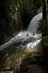 cachoeira_toca_da_raposa5233.jpg(74.6 KB)