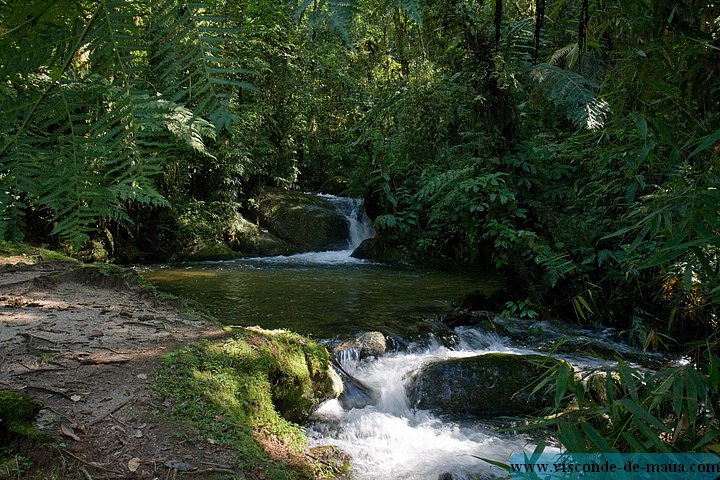 Cachoeira_Alcantilado_Vale_Flores4403.jpg (125 KB)