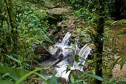 Cachoeira_Santuario_Visconde_Maua-1001.jpg(160 KB)