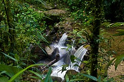 Cachoeira_Santuario_Visconde_Maua-1002.jpg(145 KB)
