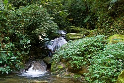 Cachoeira_Santuario_Visconde_Maua-1008.jpg(181 KB)