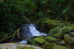 Cachoeira_Santuario_Visconde_Maua-1011.jpg(128 KB)