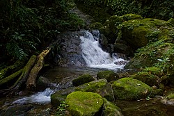 Cachoeira_Santuario_Visconde_Maua-1012.jpg(127 KB)