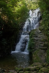 Cachoeira_Santuario_Visconde_Maua-1015.jpg(132 KB)
