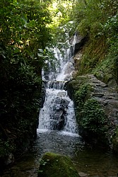 Cachoeira_Santuario_Visconde_Maua-1029.jpg(130 KB)
