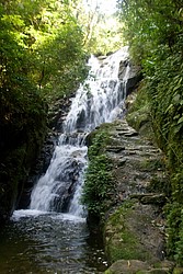 Cachoeira_Santuario_Visconde_Maua-1032.jpg(141 KB)