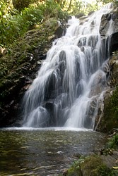 Cachoeira_Santuario_Visconde_Maua-1041.jpg(106 KB)