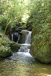 Cachoeira_Santuario_Visconde_Maua-1048.jpg(164 KB)