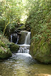 Cachoeira_Santuario_Visconde_Maua-1052.jpg(150 KB)