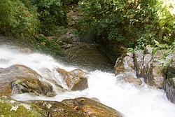 Cachoeira_Santuario_Visconde_Maua-1057.jpg(126 KB)