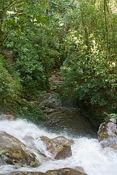 Cachoeira_Santuario_Visconde_Maua-1058.jpg(143 KB)