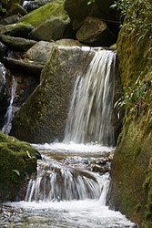 Cachoeira_Santuario_Visconde_Maua-1061.jpg(108 KB)