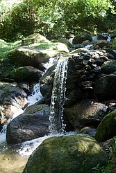 Cachoeira_Santuario_Visconde_Maua-1082.jpg(139 KB)