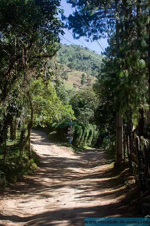 Cachoeira_Santuario_Visconde_Maua-0938.jpg (155 KB)