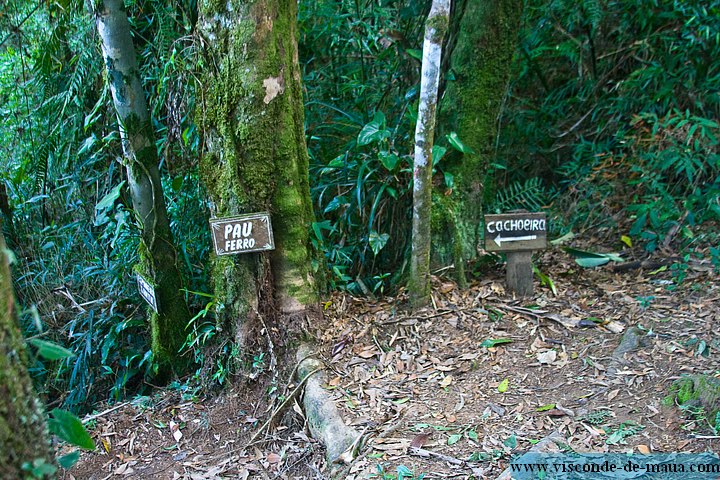 Cachoeira_Santuario_Visconde_Maua-0999.jpg (176 KB)