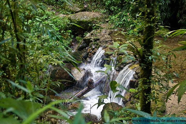 Cachoeira_Santuario_Visconde_Maua-1001.jpg (160 KB)