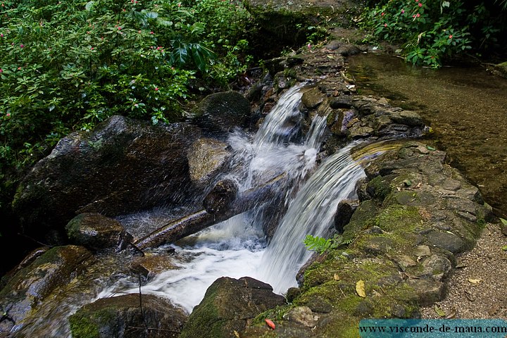 Cachoeira_Santuario_Visconde_Maua-1004.jpg (153 KB)