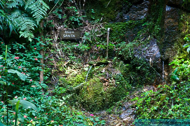 Cachoeira_Santuario_Visconde_Maua-1005.jpg (190 KB)