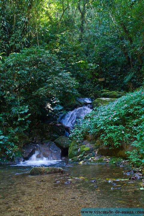 Cachoeira_Santuario_Visconde_Maua-1010.jpg (153 KB)