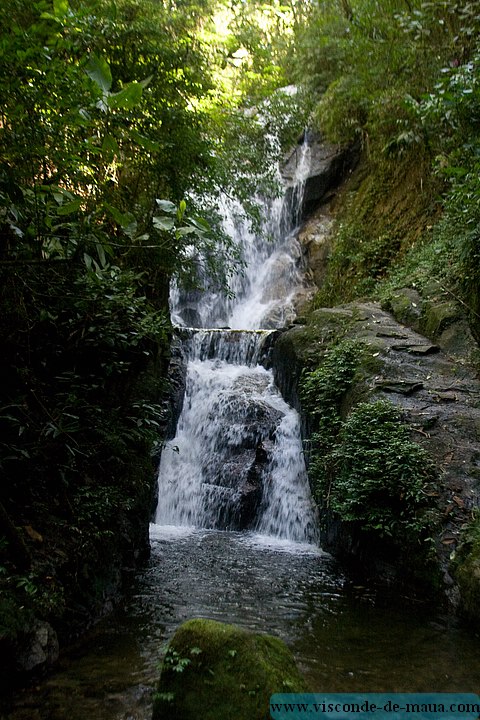 Cachoeira_Santuario_Visconde_Maua-1029.jpg (130 KB)