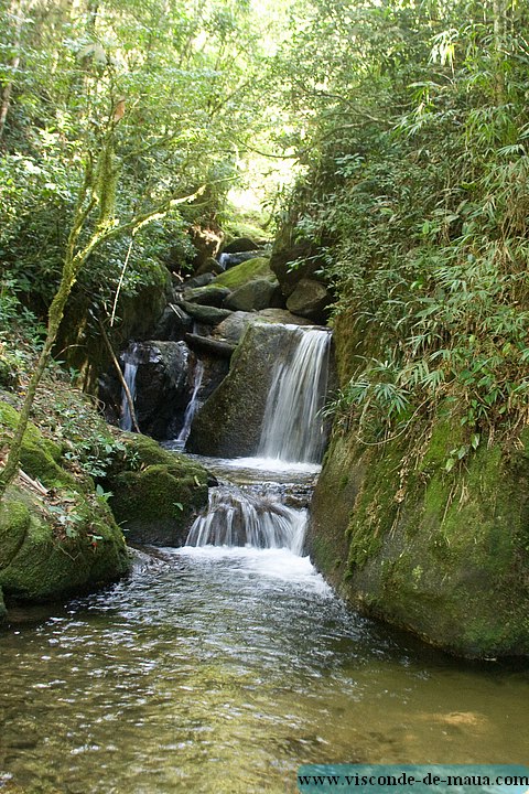 Cachoeira_Santuario_Visconde_Maua-1048.jpg (164 KB)