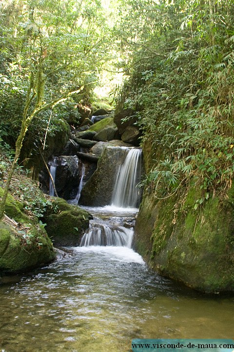 Cachoeira_Santuario_Visconde_Maua-1052.jpg (150 KB)