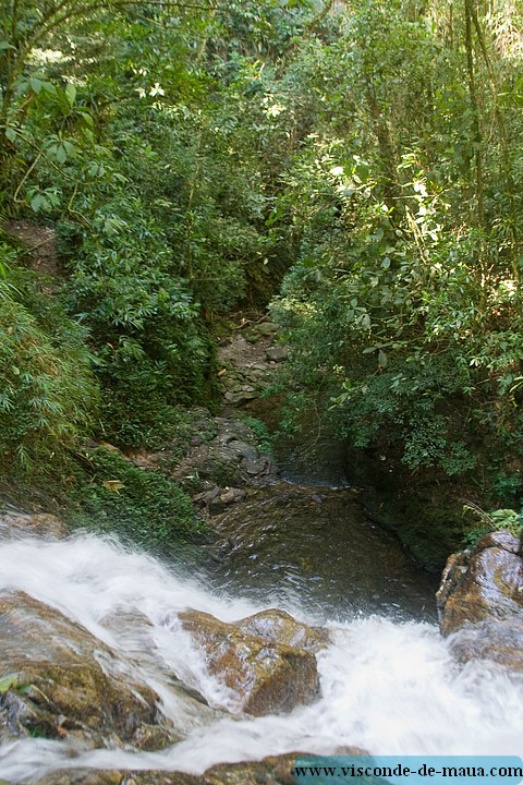 Cachoeira_Santuario_Visconde_Maua-1058.jpg (143 KB)