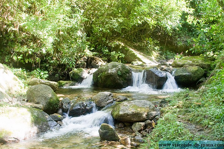 Cachoeira_Santuario_Visconde_Maua-1074.jpg (181 KB)