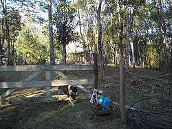 Vale_Santa_Clara-Casa 098.jpg(183 KB)