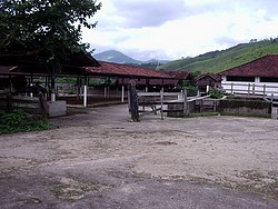 Fazenda_Mirantao619.jpg(105 KB)