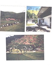 Fazenda_Mirantao625.jpg(74.3 KB)